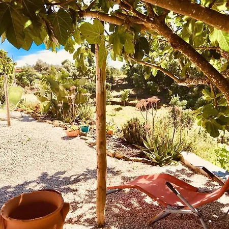 Bed & Breakfast Quinta Quatro Ventos 3*