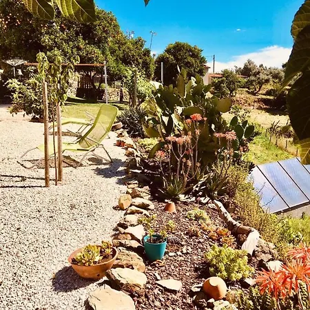 Quinta Quatro Ventos Bed & Breakfast Sertã