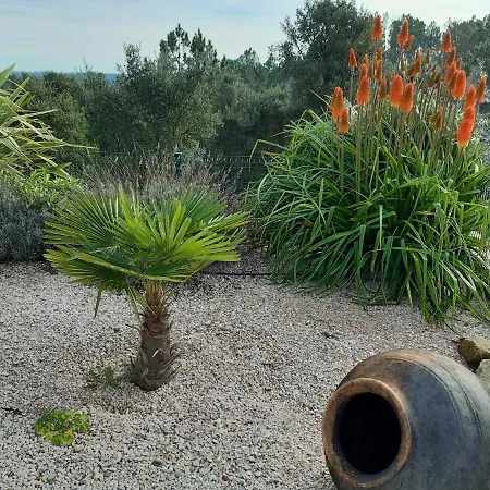 Alojamento de Acomodação e Pequeno-almoço Quinta Quatro Ventos 3*