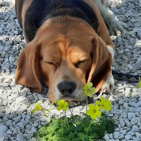 Quinta Quatro Ventos