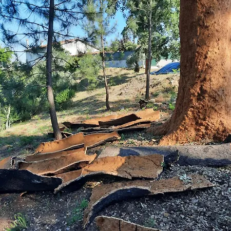 Quinta Quatro Ventos Bed & Breakfast 3*